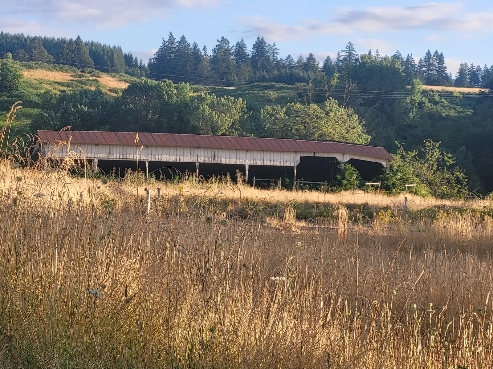 Current agricultural storage building and surrounding grounds