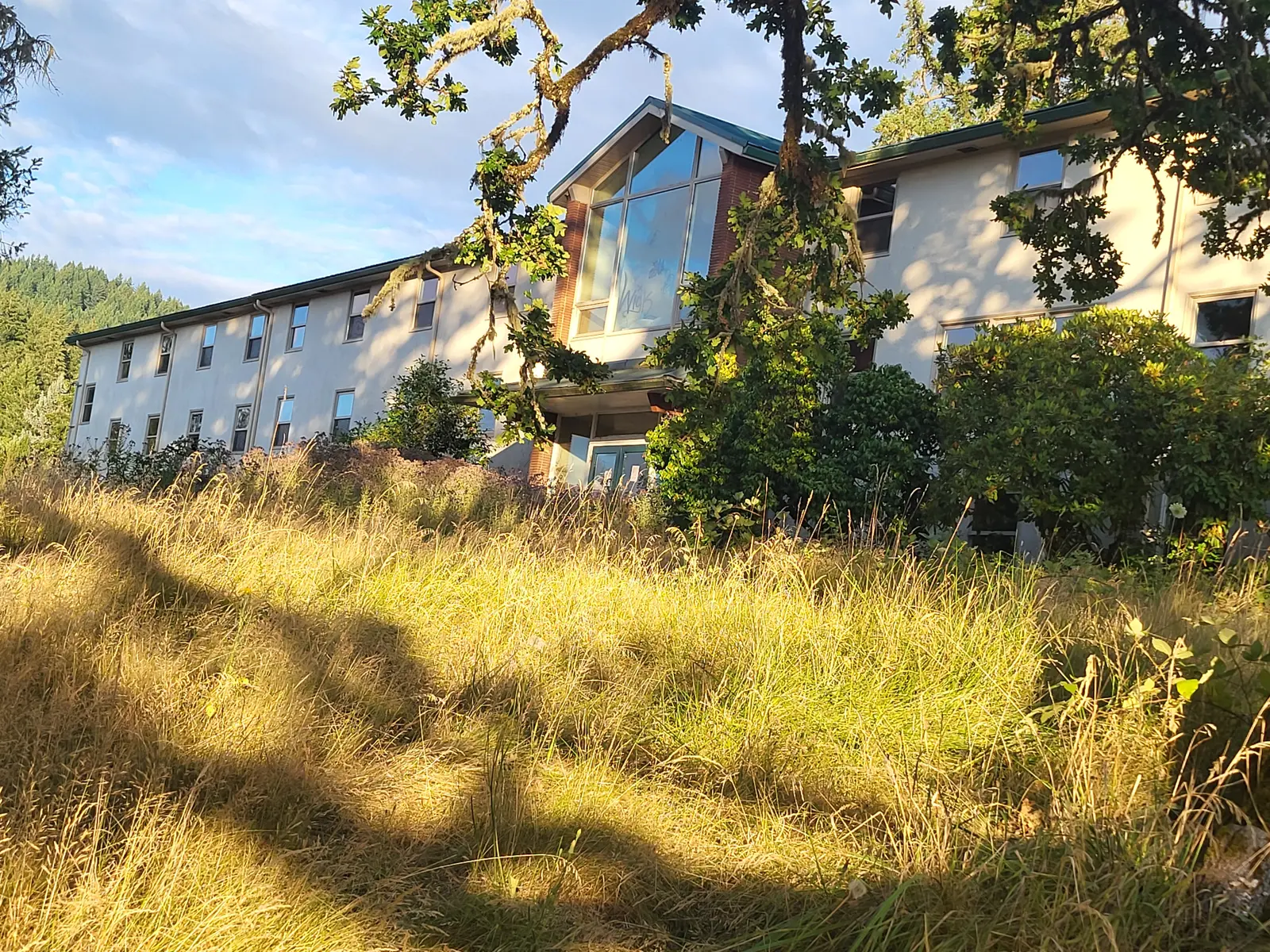 Current secondary residential building partly obscured by vegetation