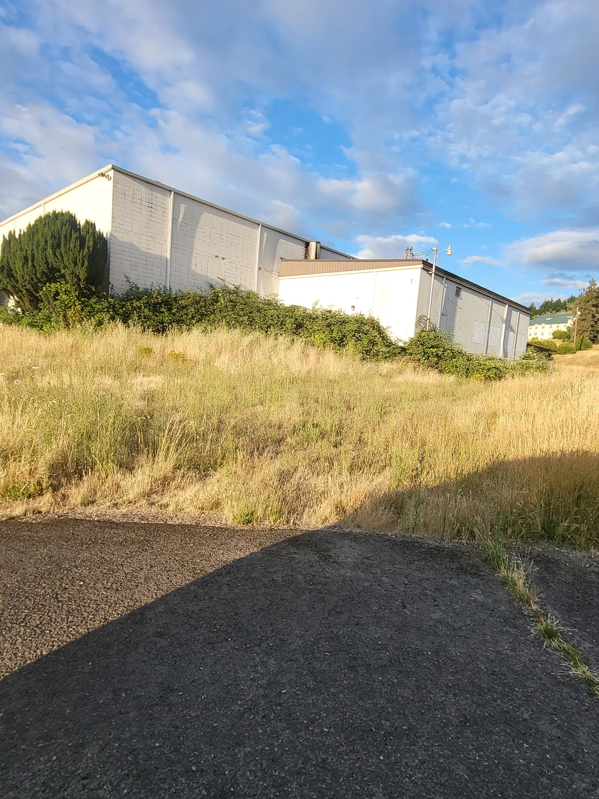 Current rear exterior of the gymnasium and surrounding slope