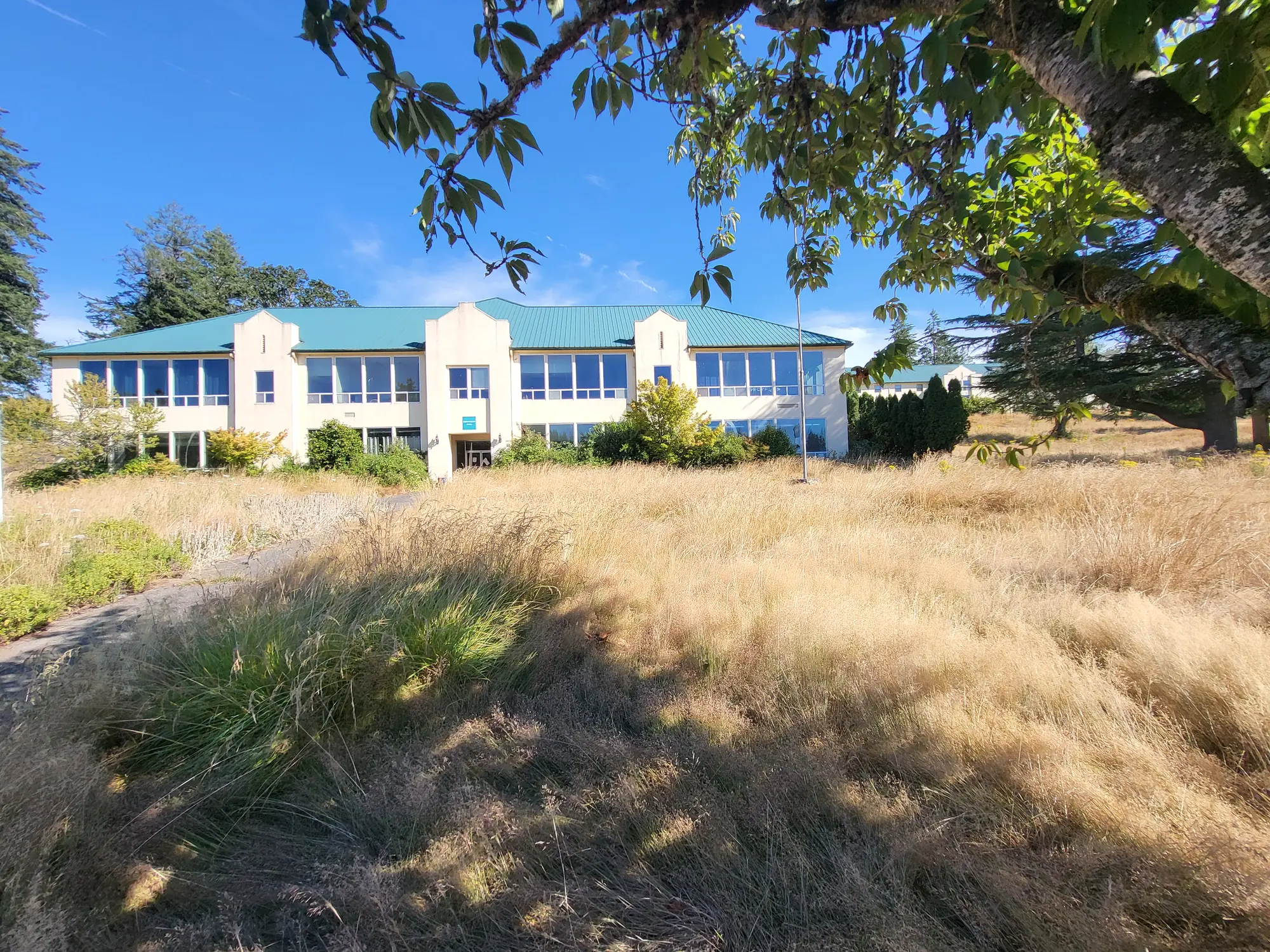 Current exterior of Harmony Hall with tall grass and mature trees
