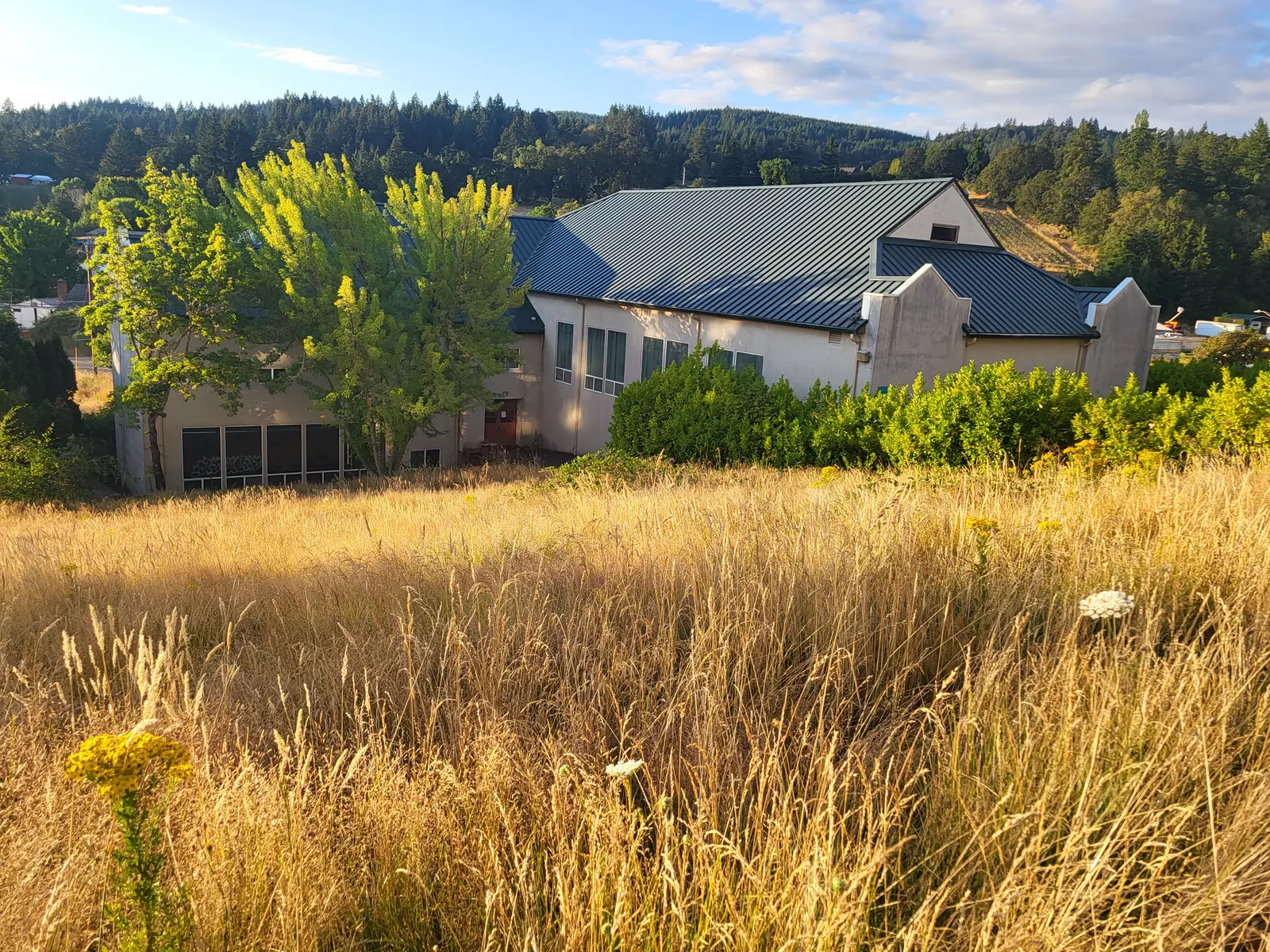 Current unidentified campus building seen through mature trees
