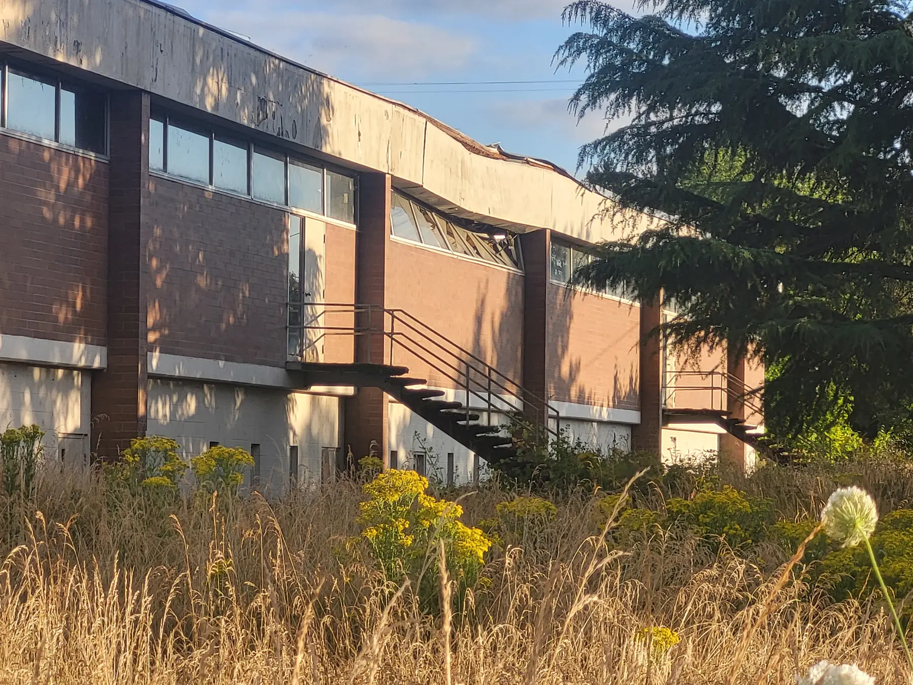 Current rear exterior of the Science and Learning building showing broken windows and overgrowth