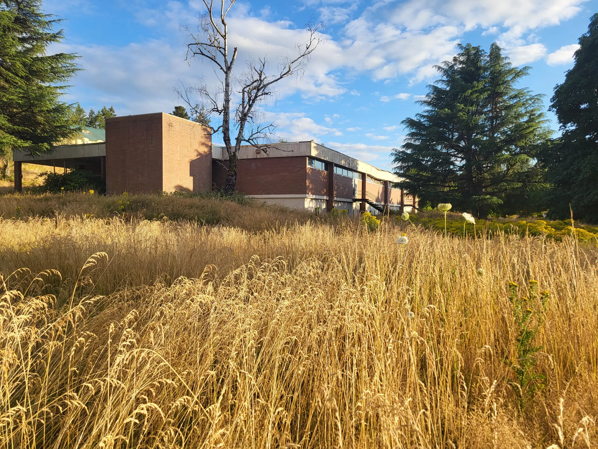 Wide current exterior of the Science and Learning building